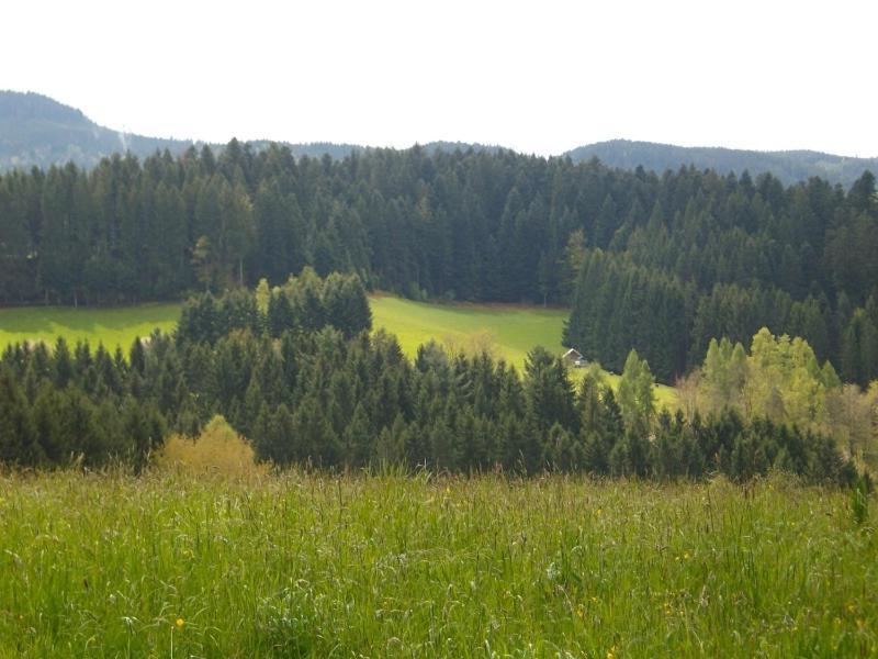 Ferienwohnung Am Sulzbaechle Bad Rippoldsau-Schapbach Extérieur photo
