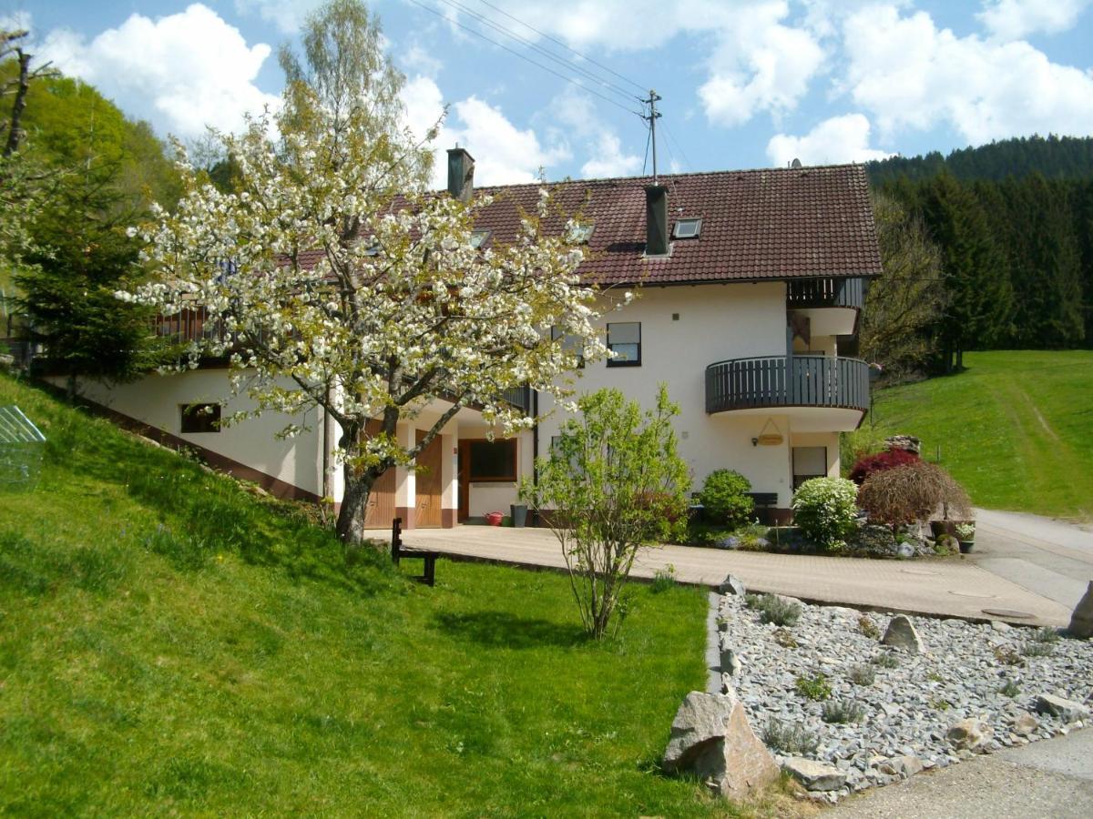 Ferienwohnung Am Sulzbaechle Bad Rippoldsau-Schapbach Extérieur photo
