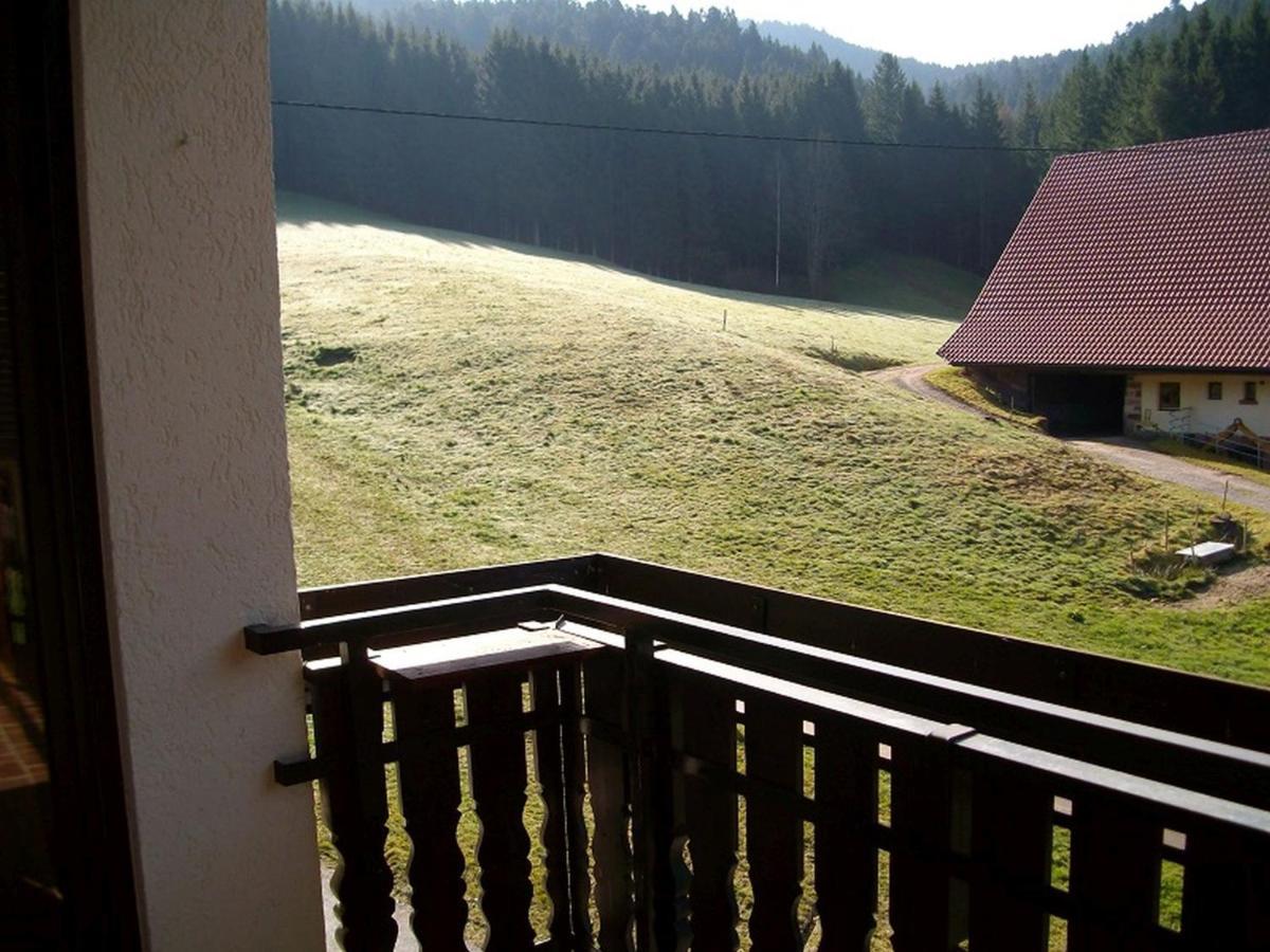 Ferienwohnung Am Sulzbaechle Bad Rippoldsau-Schapbach Extérieur photo