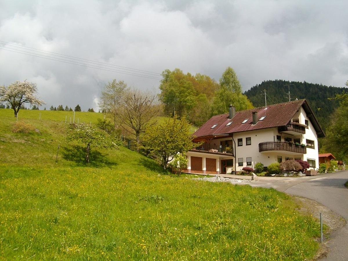 Ferienwohnung Am Sulzbaechle Bad Rippoldsau-Schapbach Extérieur photo